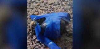 Capture 24.jpg