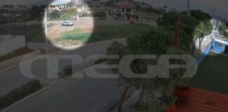 Capture 39.jpg