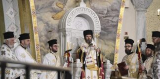 EV21 290325 DENDIAS 11 1024x683.jpg