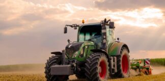 agrotes 6 1024x682.jpg