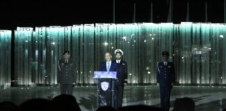 dendias1 1024x647.jpg