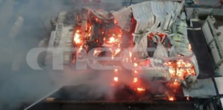 fotia.png