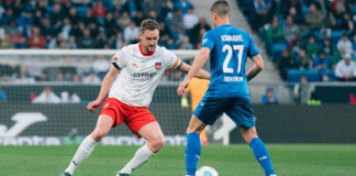 hoffenheim 1.jpg