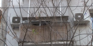 omonoia.png