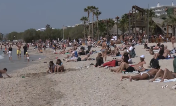 paralia.png paralia.png