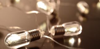 prasina timolgio 1.jpg