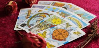 provlepseis taro 67c1fca74090f.jpg