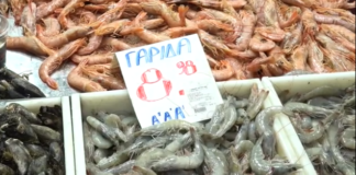 sarakosti.png