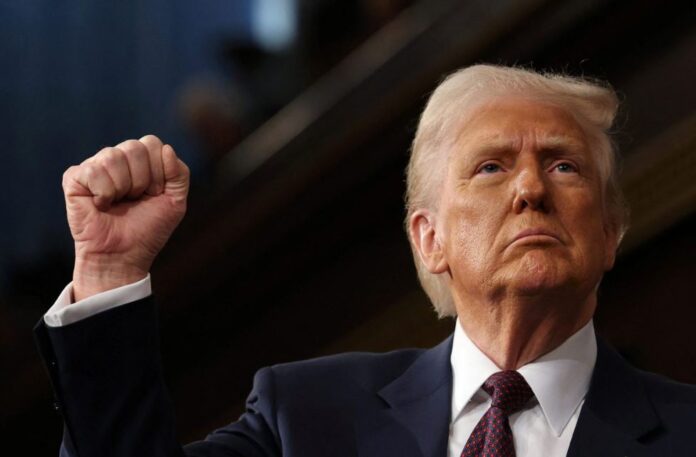 tramp 5.jpg tramp 5.jpg