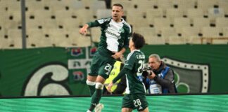 6525426 scaled e1744001366147.jpg