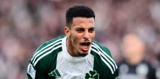 6533561 scaled e1744565026155.jpg