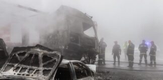 6535665 1200x800 1 1024x683.jpg