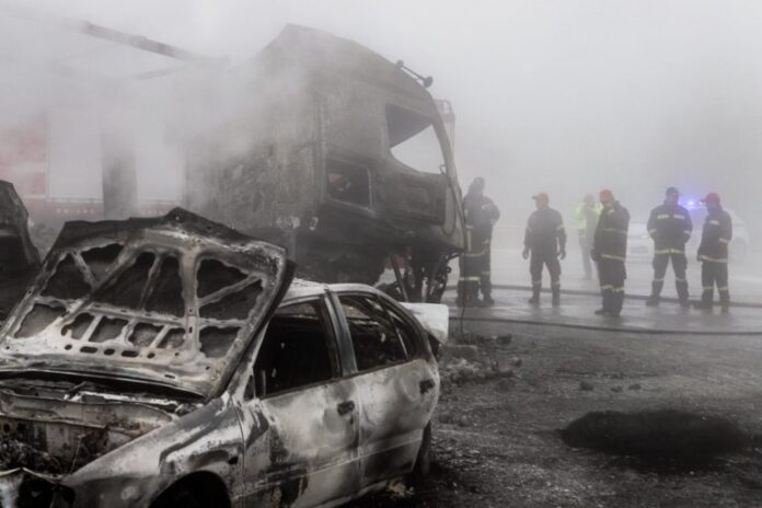 6535665 1200x800 1 1024x683.jpg