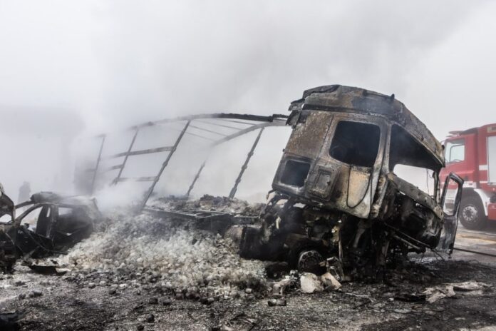 6535738 1 1024x683.jpg