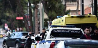 6540928 768x512 1.jpg