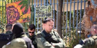 6542015 1200x799 1 1024x682.jpg