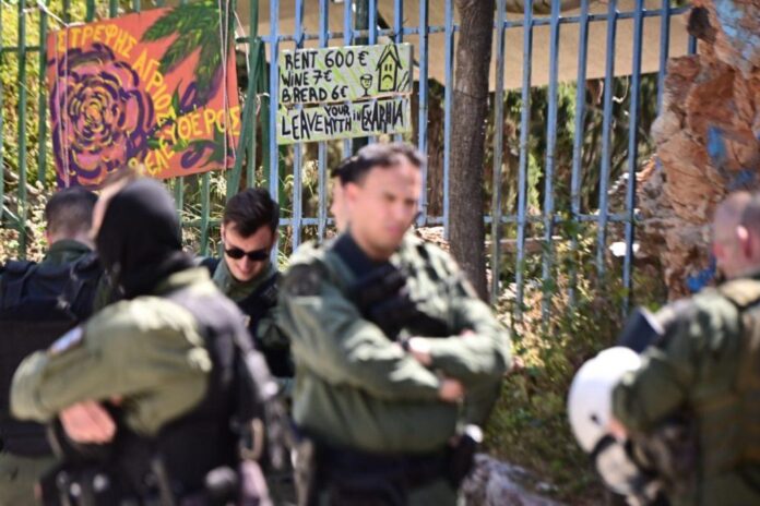 6542015 1200x799 1 1024x682.jpg 6542015 1200x799 1 1024x682.jpg