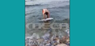 Capture 209.jpg