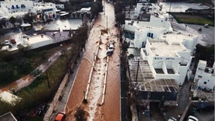 Capture 21.jpg Capture 21.jpg