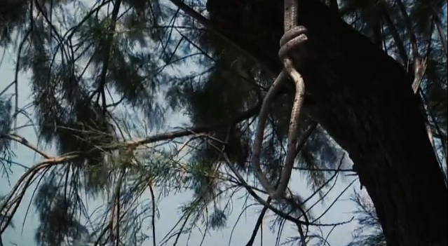 Capture 243.png Capture 243.png