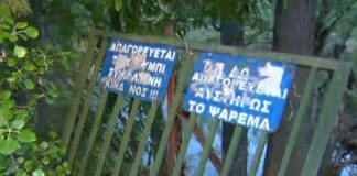 Capture 246 1024x611.jpg