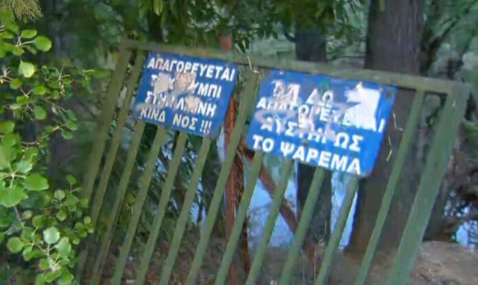 Capture 246 1024x611.jpg