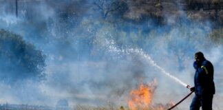 NIK 8656 1200x800 1 1024x683.jpg