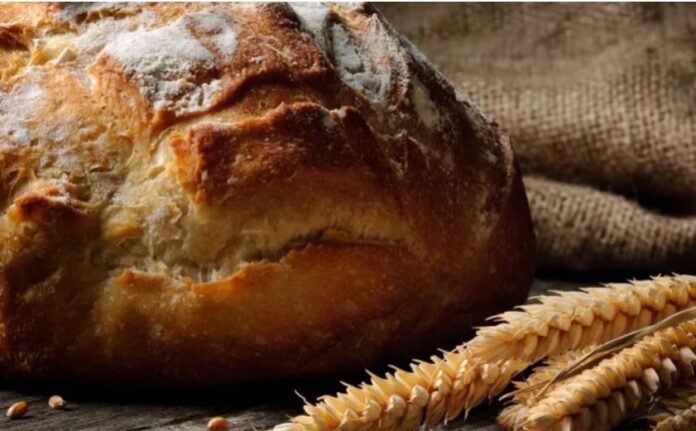 artopoieia.jpg artopoieia.jpg