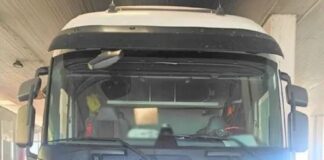 diakinites metanaston2.jpg