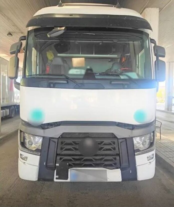 diakinites metanaston2.jpg