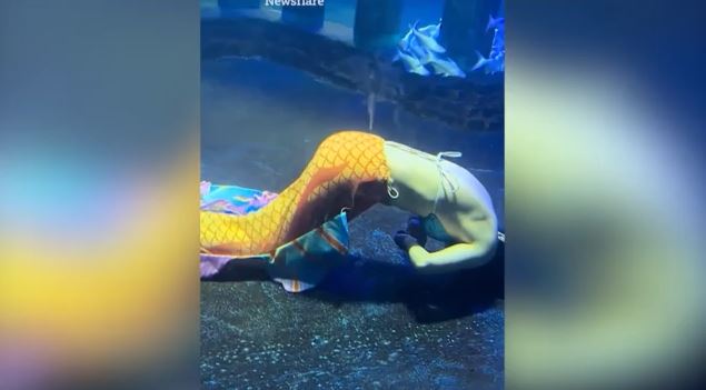 gorgon.jpg gorgon.jpg