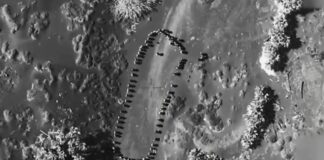 houthis trump 1024x551.jpg