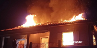 kriti 1 1024x616.png