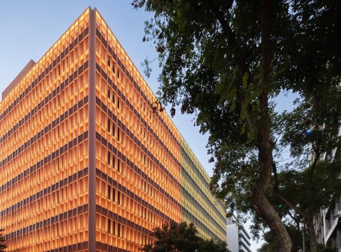 minion e1744259866554.jpg