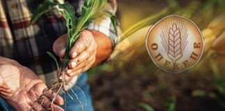 ot opekepe agroths mefyto 768x450 1.jpg