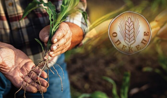 ot opekepe agroths mefyto 768x450 1.jpg