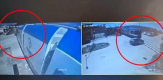 patra 2.png