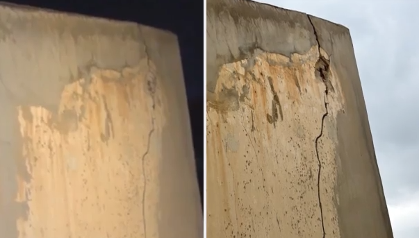 rogmes4.png rogmes4.png