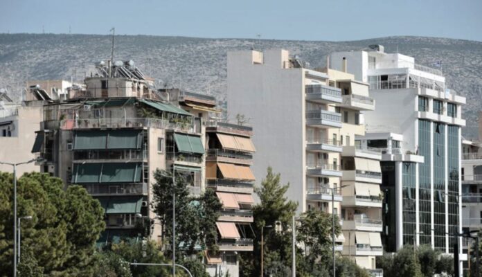 stegasi 1.jpg stegasi 1.jpg