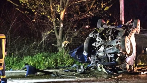 troxaio.png troxaio.png