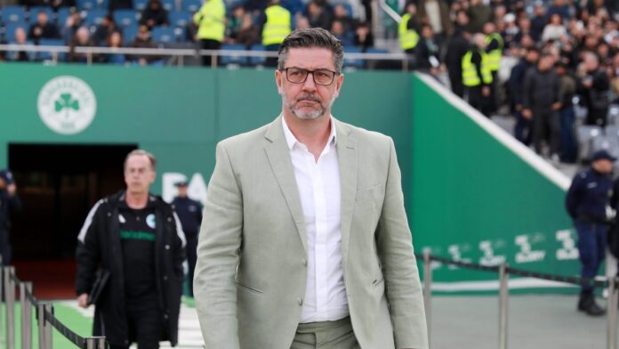 4650709 scaled e1746971070872.jpg