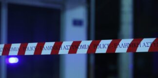 6561882 1200x800 1 1024x683.jpg