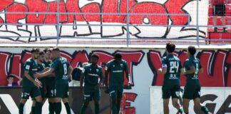 6563682 scaled e1747576013668.jpg