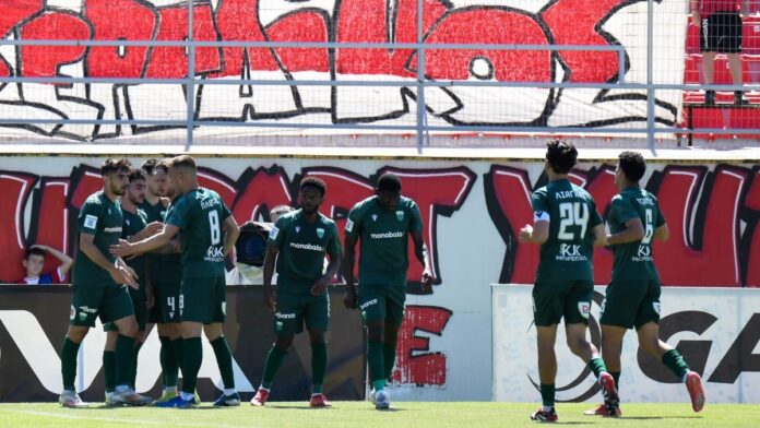 6563682 scaled e1747576013668.jpg