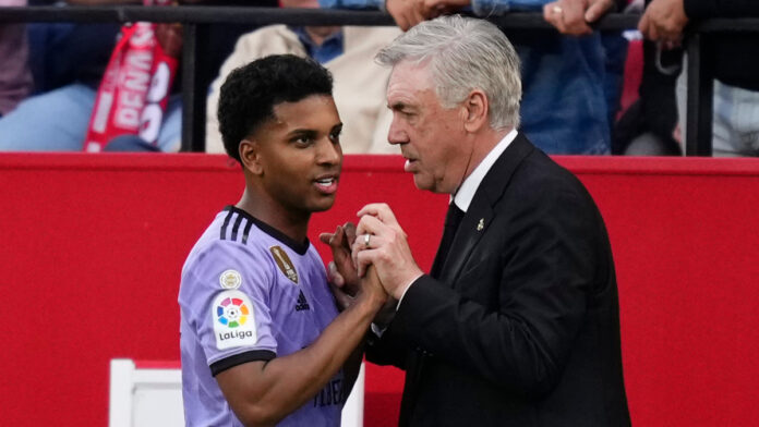 AP23147674812592 1.jpg