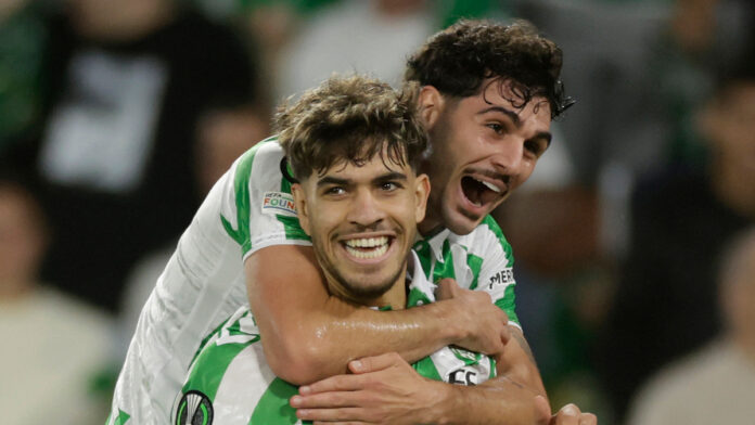 AP24298721644859 1.jpg