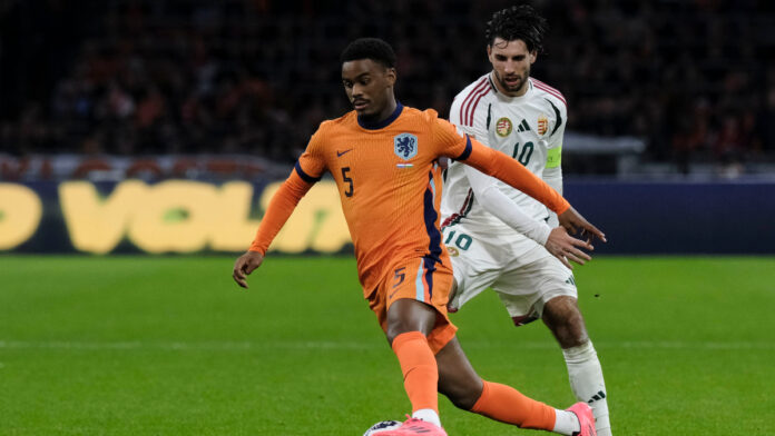 AP24321775076791 1.jpg