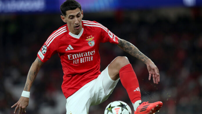 AP24346833922149 1.jpg