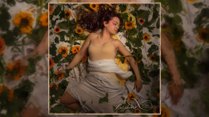 Banner scaled.jpg Banner scaled.jpg