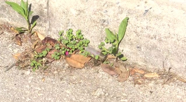 Capture 22.png Capture 22.png